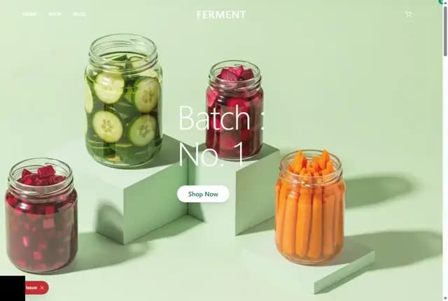 FERMENT - Artisanal Fermented Foods | Small Batch, Organic